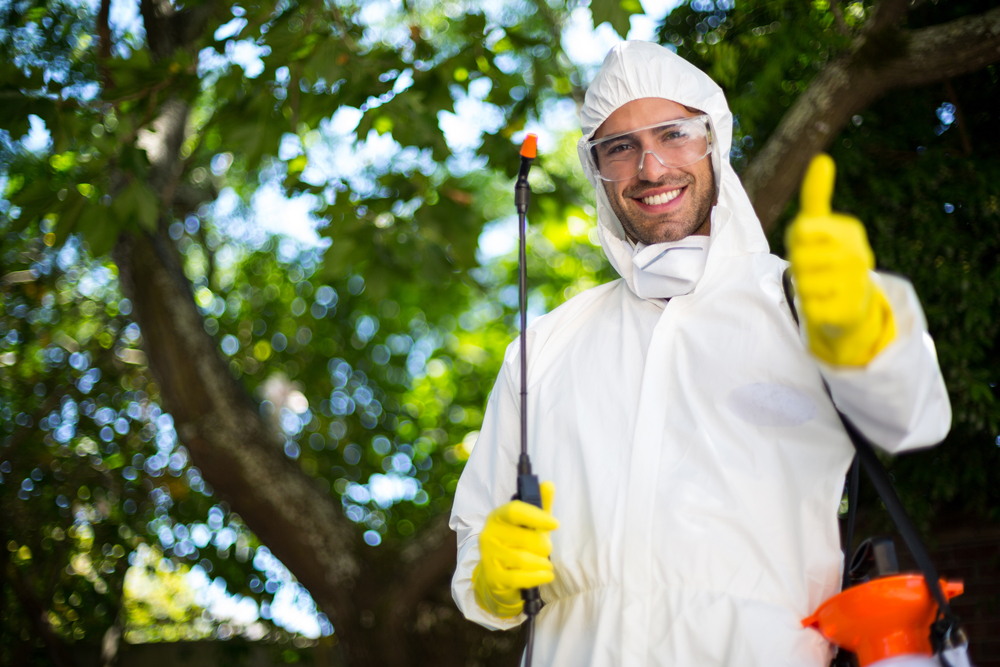 Seasonal Pest Control Tips for the Outer Banks