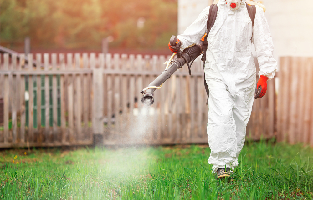 Eco-Friendly Pest Control Solutions for Sustainable Living