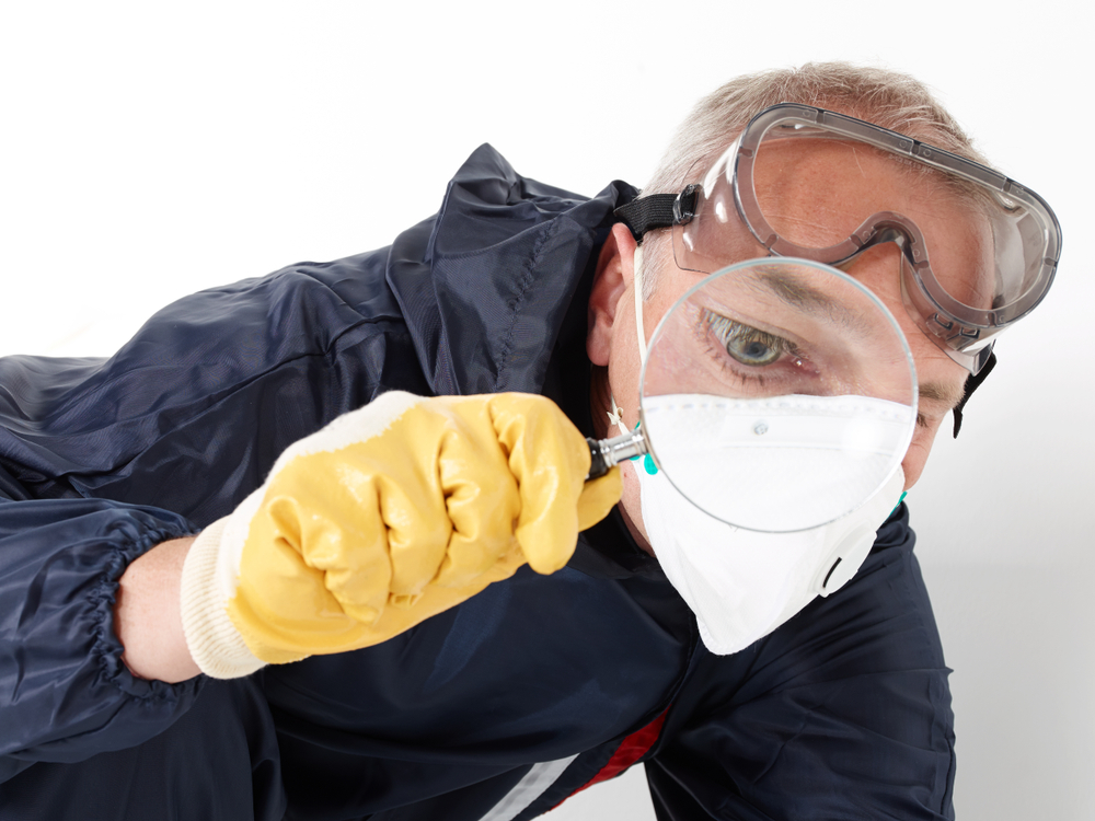 Protecting Your Business From Pest Problems in the Outer Banks